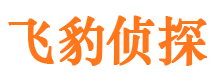 平定市侦探公司